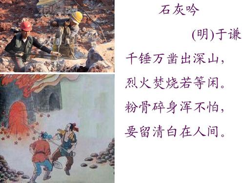 今晚翻谁牌官方版下载
